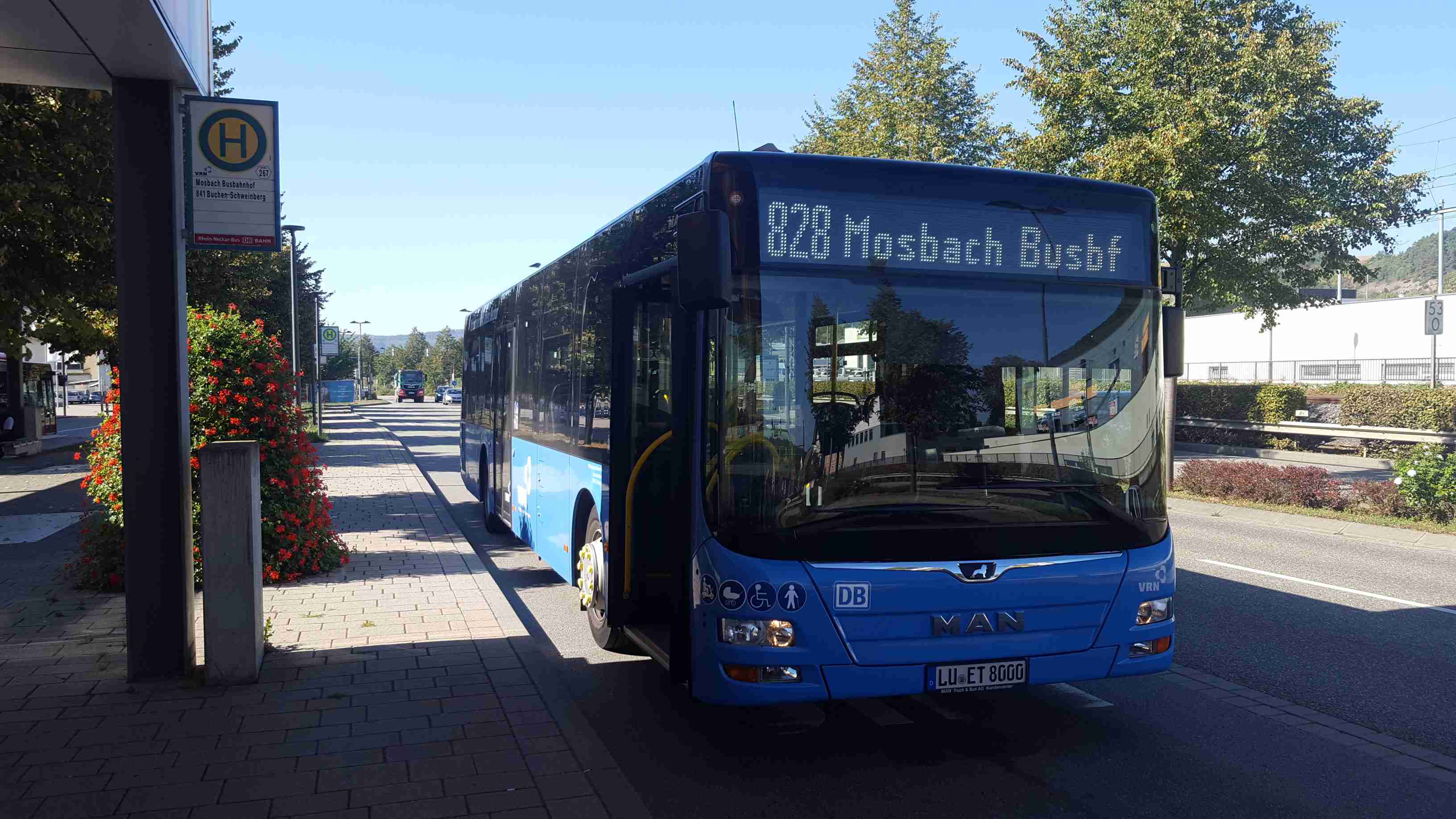 Neue Regiobuslinien ab Januar