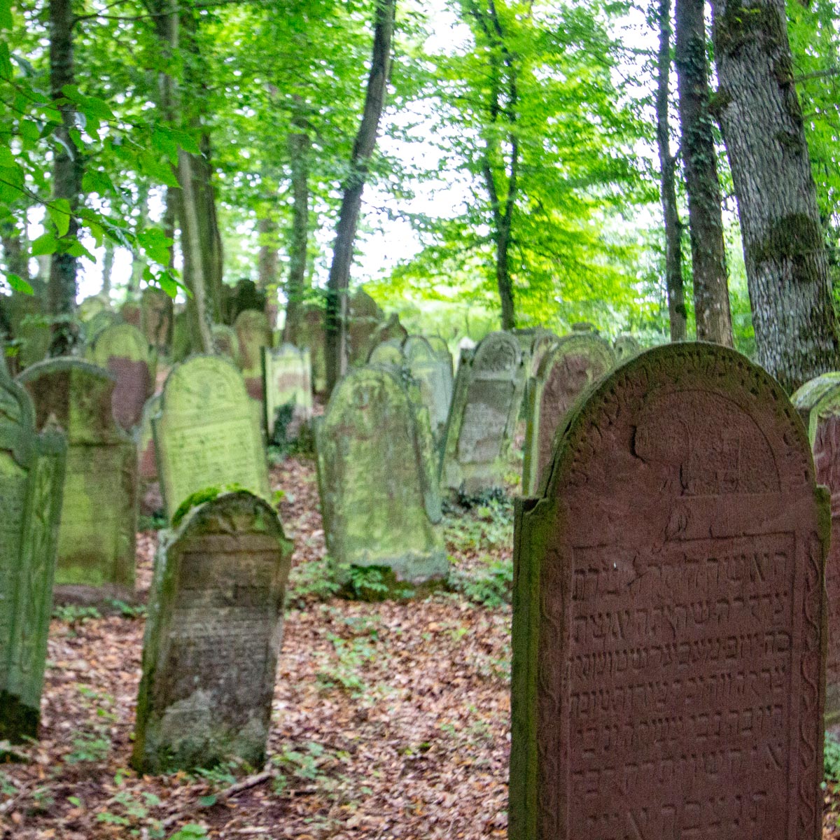 Jüdischer Friedhof in Bödigheim