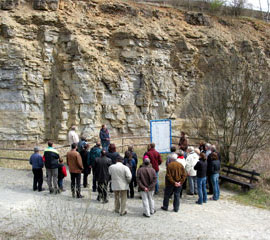 Besuchergruppe im Steinbruch