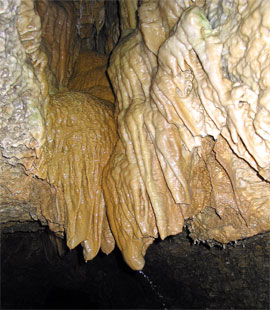 Tropfsteine, die wie eine Brause von der Decke wachsen