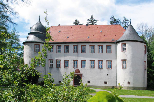 Bild vom Schloss Eberstadt umgeben von Bäumen, Wiese und Büschen