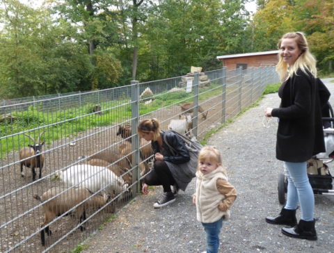 Besucher am neuen Ziegengehege im Hasenwald