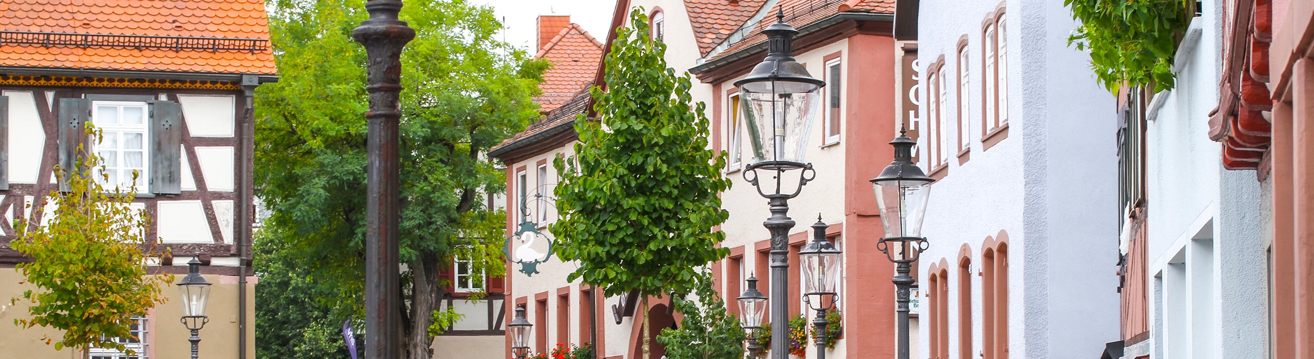 Blühende Bäume in Buchen