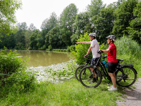 Radfahren am Hollersee