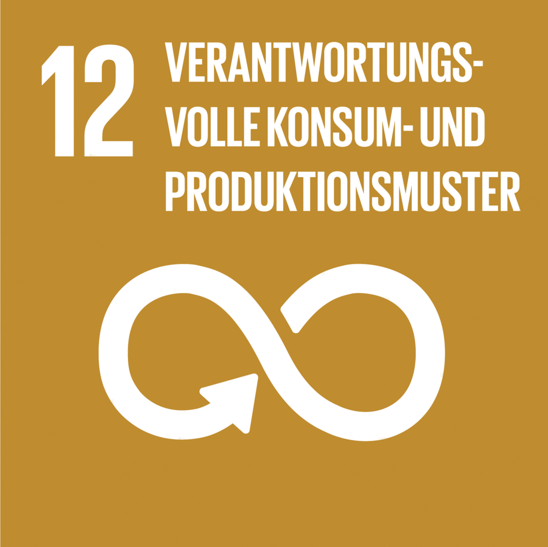 Nachhaltigkeitsziel 12