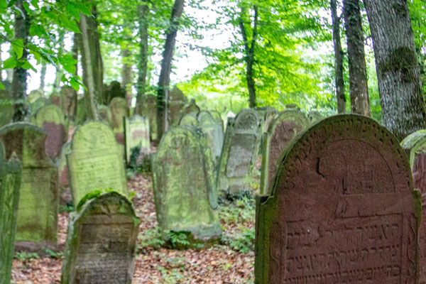 Grabsteine auf dem jüdischen Friedhof in Bödigheim im Wald 