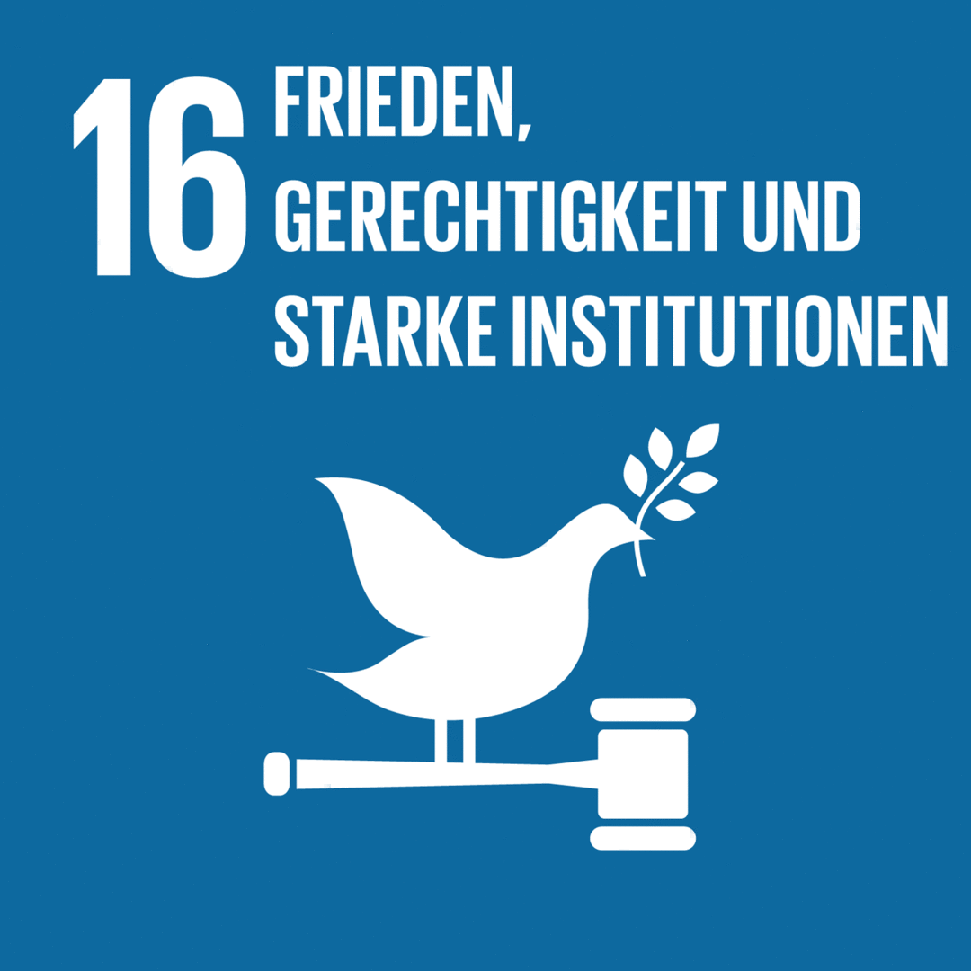 Nachhaltigkeitsziel 16