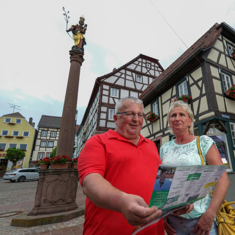 Mariensäule in Buchen