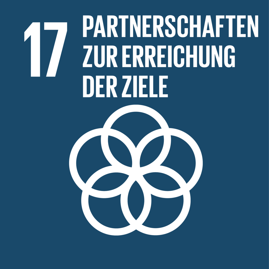 Nachhaltigkeitsziel 17