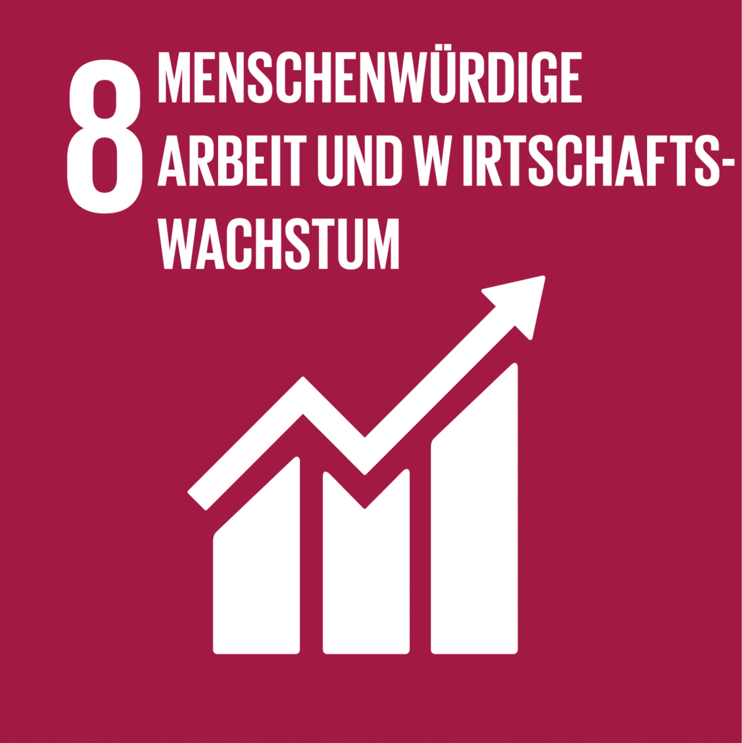 Nachhaltigkeitsziel 8
