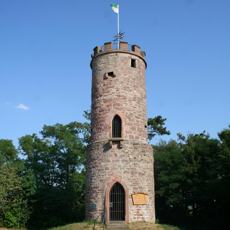 Steinerner Turm mit grün-weißer Buchen Flagge auf der Spitze umgeben von Bäumen.