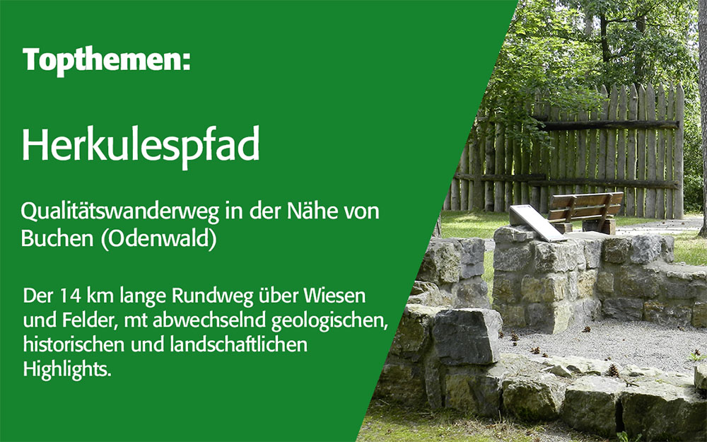 Der Qualitätswanderweg „Herkulespfad“ in der Nähe von Buchen ist ein Highlight für Natur- und Wanderbegeisterte.