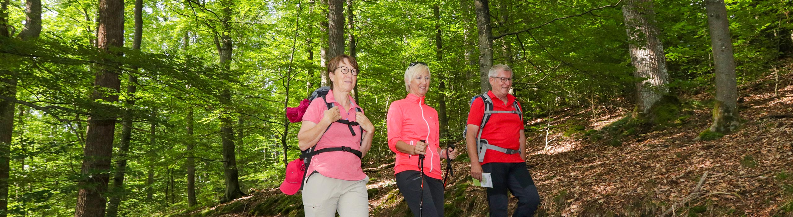 Wanderung durch den Wald