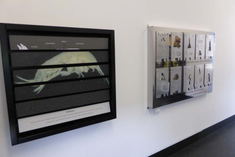 Bilderausstellung in der Eberstadter Tropfsteinhöhle