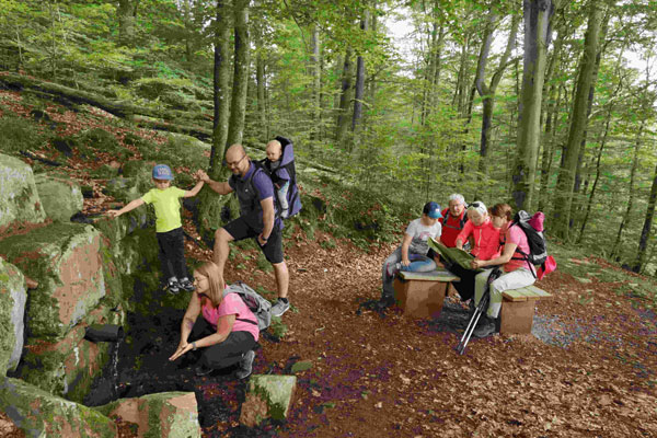 Waldwanderung mit der ganzen Familie