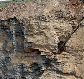 Muschelkalkschichten