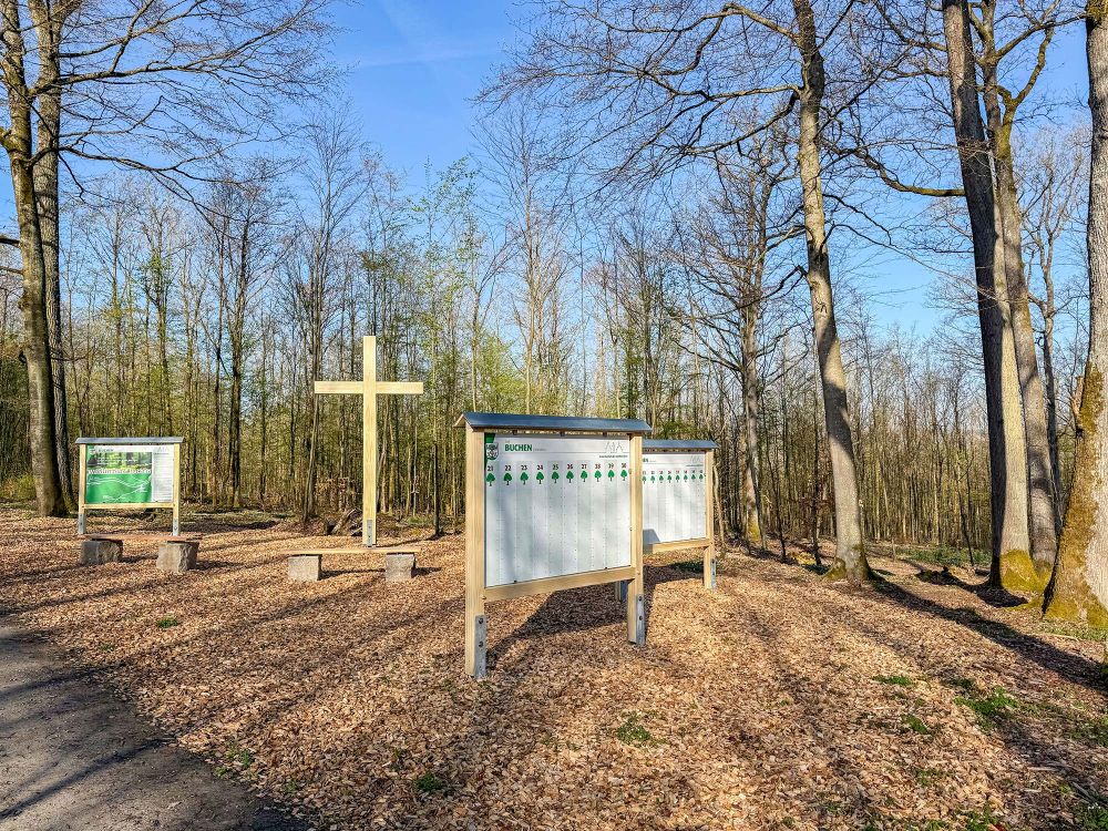 Impressionen vom Waldfriedhof Buchen