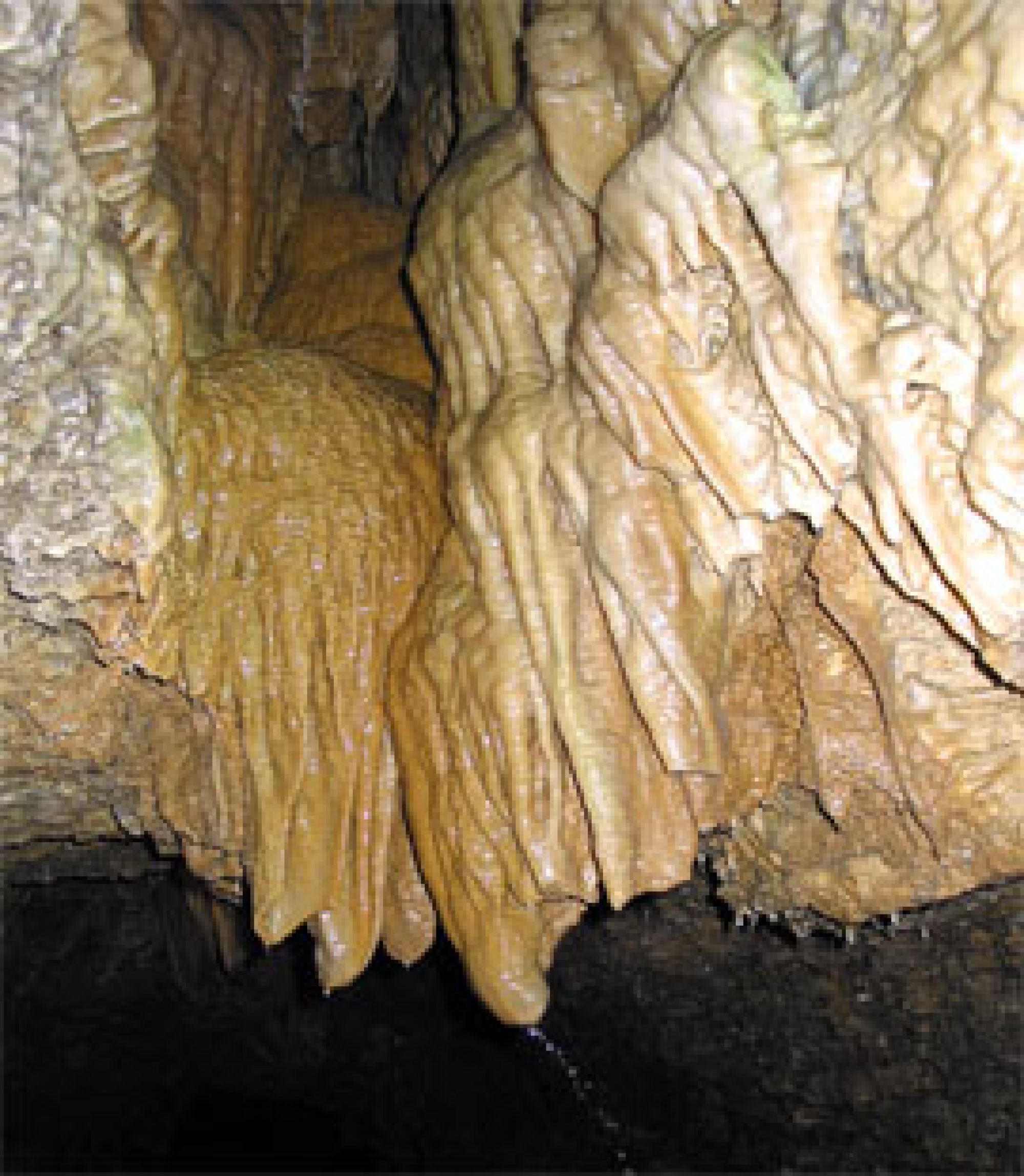 Tropfsteine, die wie eine Brause von der Decke wachsen