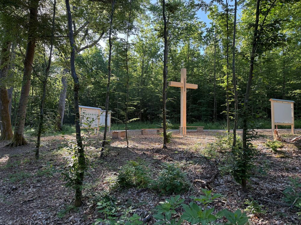 Impressionen vom Waldfriedhof Buchen