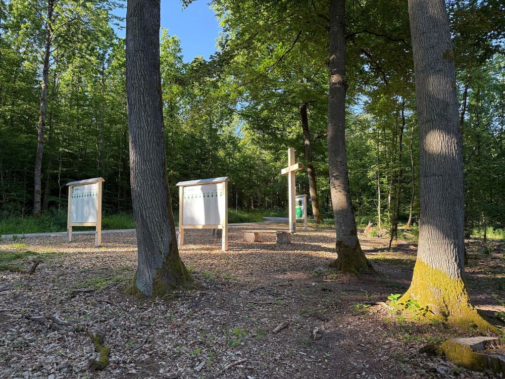 Impressionen vom Waldfriedhof Buchen