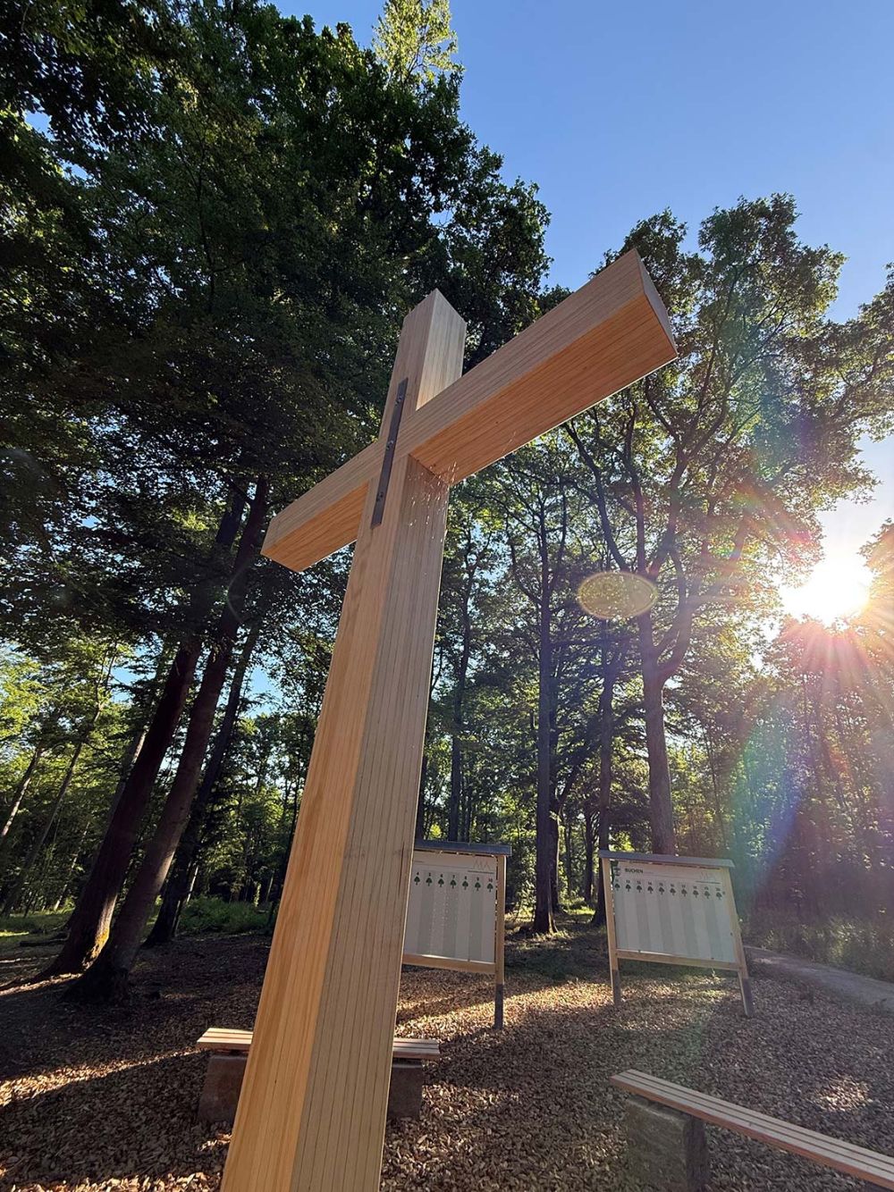Impressionen vom Waldfriedhof Buchen