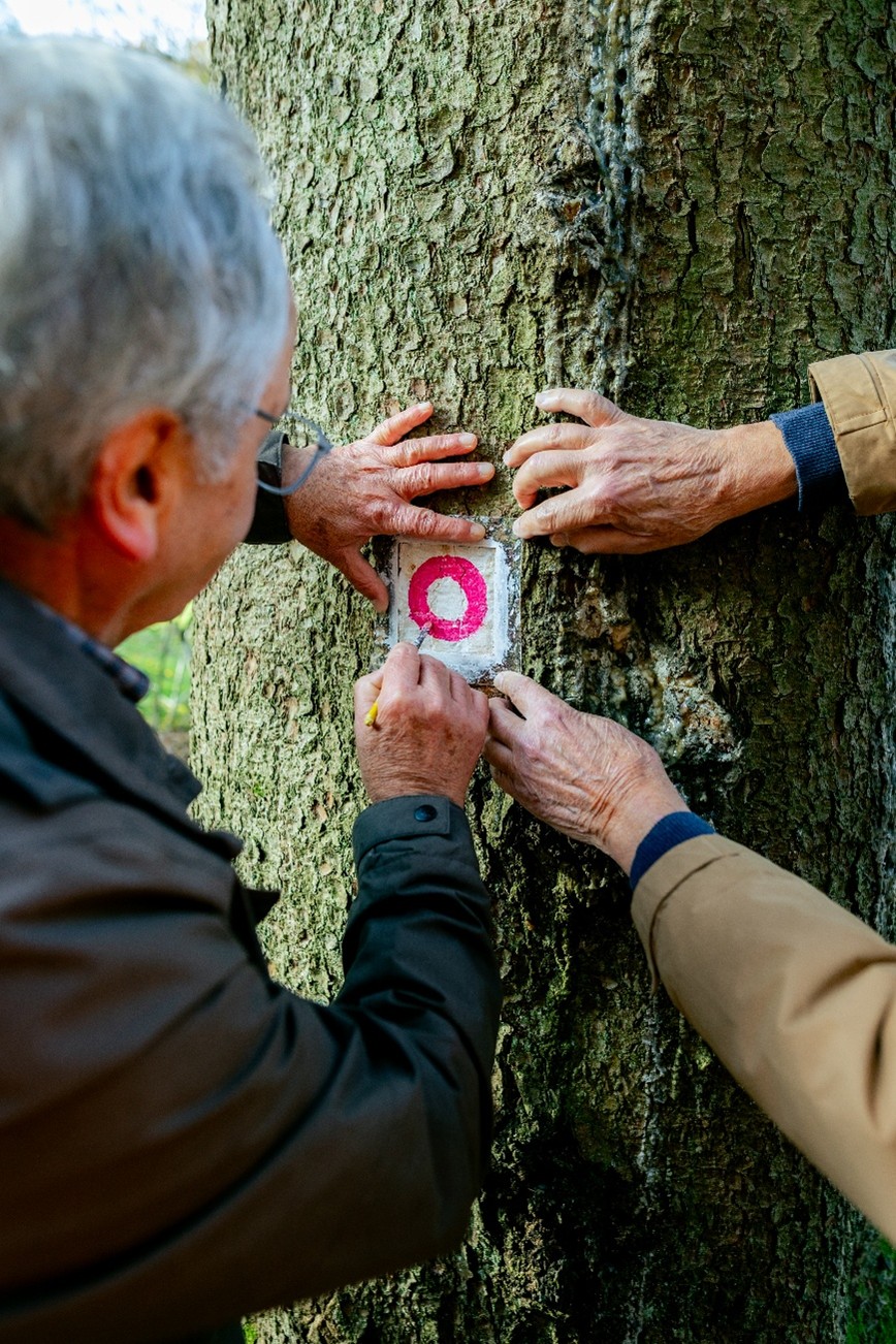 Foto: &copy; Freiheitswerke / Wolf