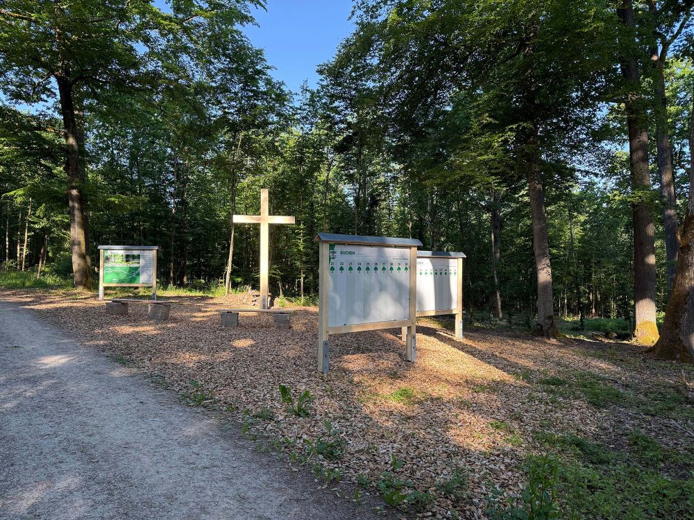 Impressionen vom Waldfriedhof Buchen