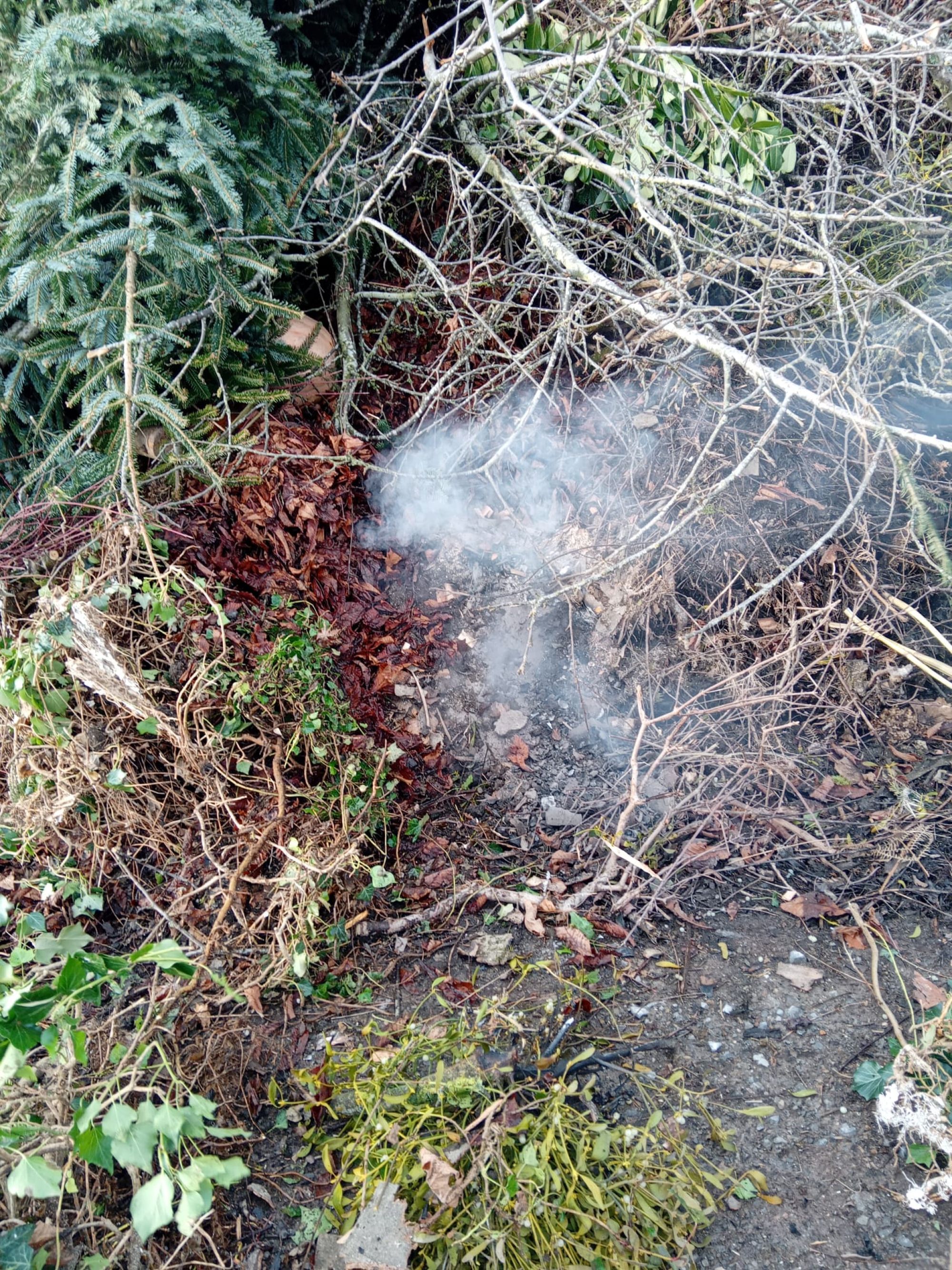 Asche und Kohle auf Grüngutplätzen