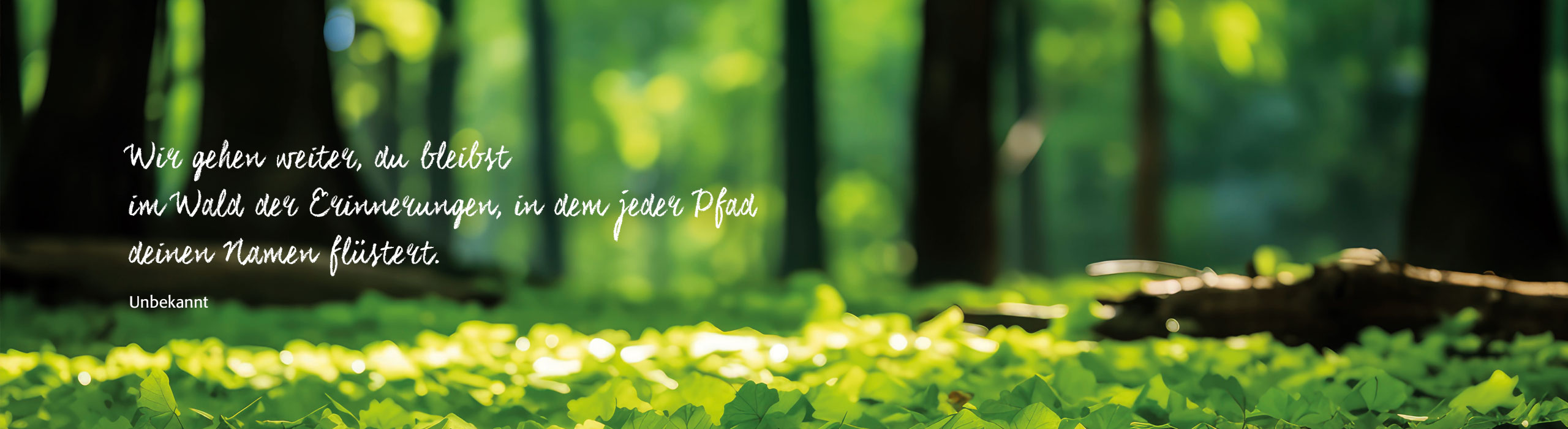 Der Waldfriedhof Buchen