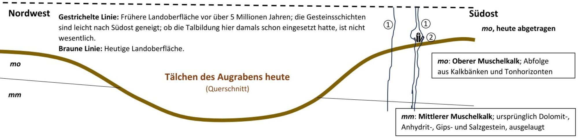 Das Bild zeigt das geologische Profil als Querschnitt. Es ist beschriftet.