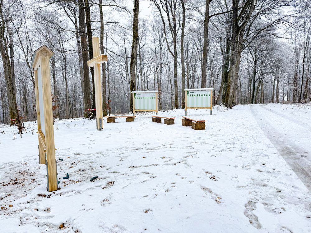 Gedenkplatz auf dem Waldfriedhof in Buchen