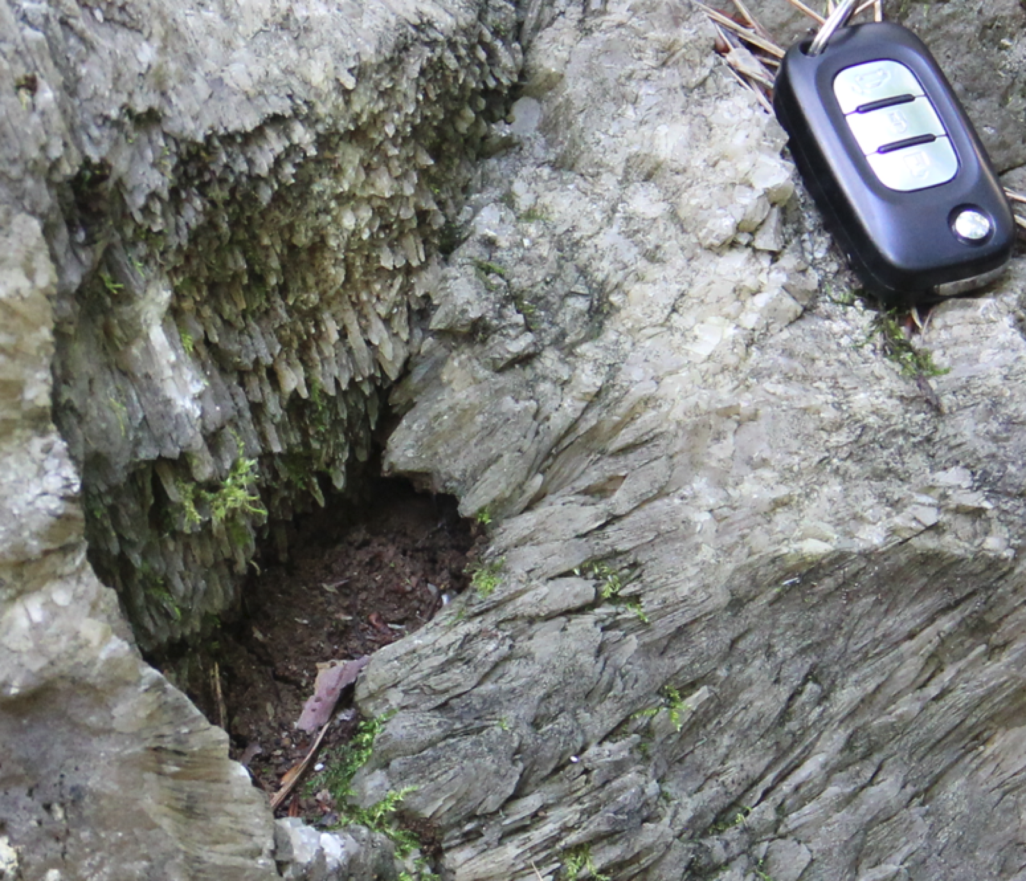 Das Bild zeigt feine Calcit-Kristalle am Stein. 
