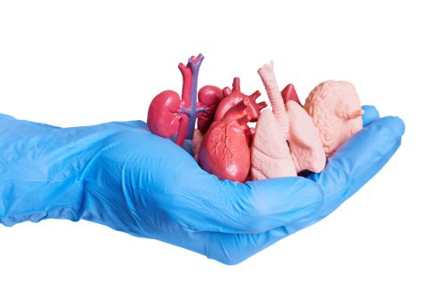 Organspende - betrifft mich das?