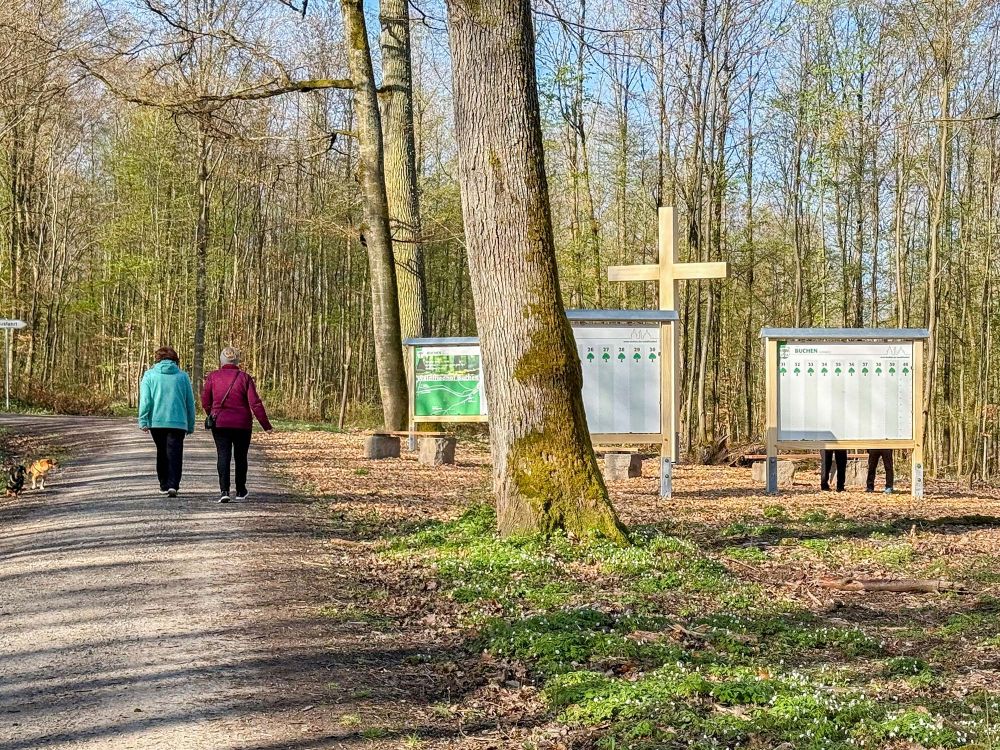 Impressionen vom Waldfriedhof Buchen