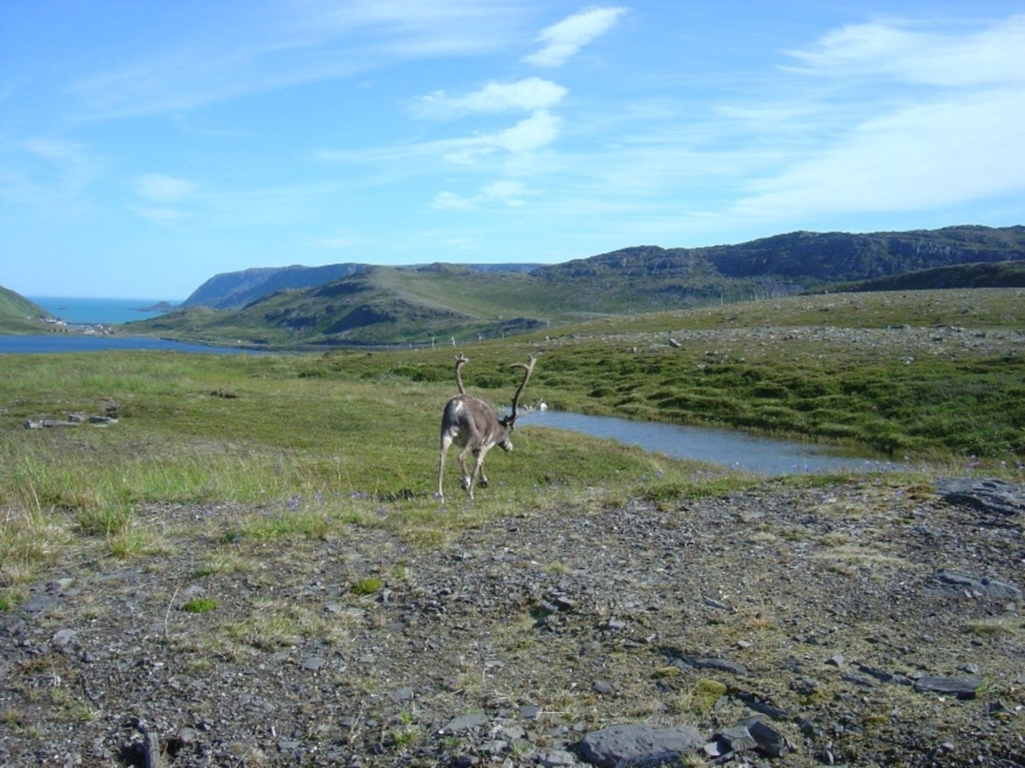 Landschaft Nordkap