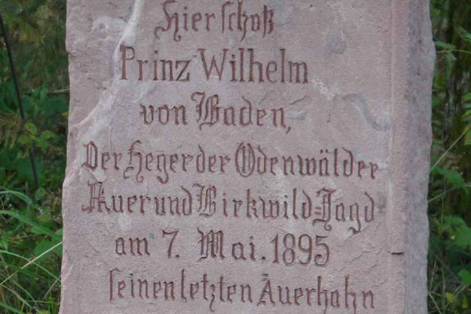 Gedenkstein zur Jagd des letzten Auerhahns von Prinz Wilhelm in Oberneudorf Gedenkstein zur Jagd in Oberneudorf