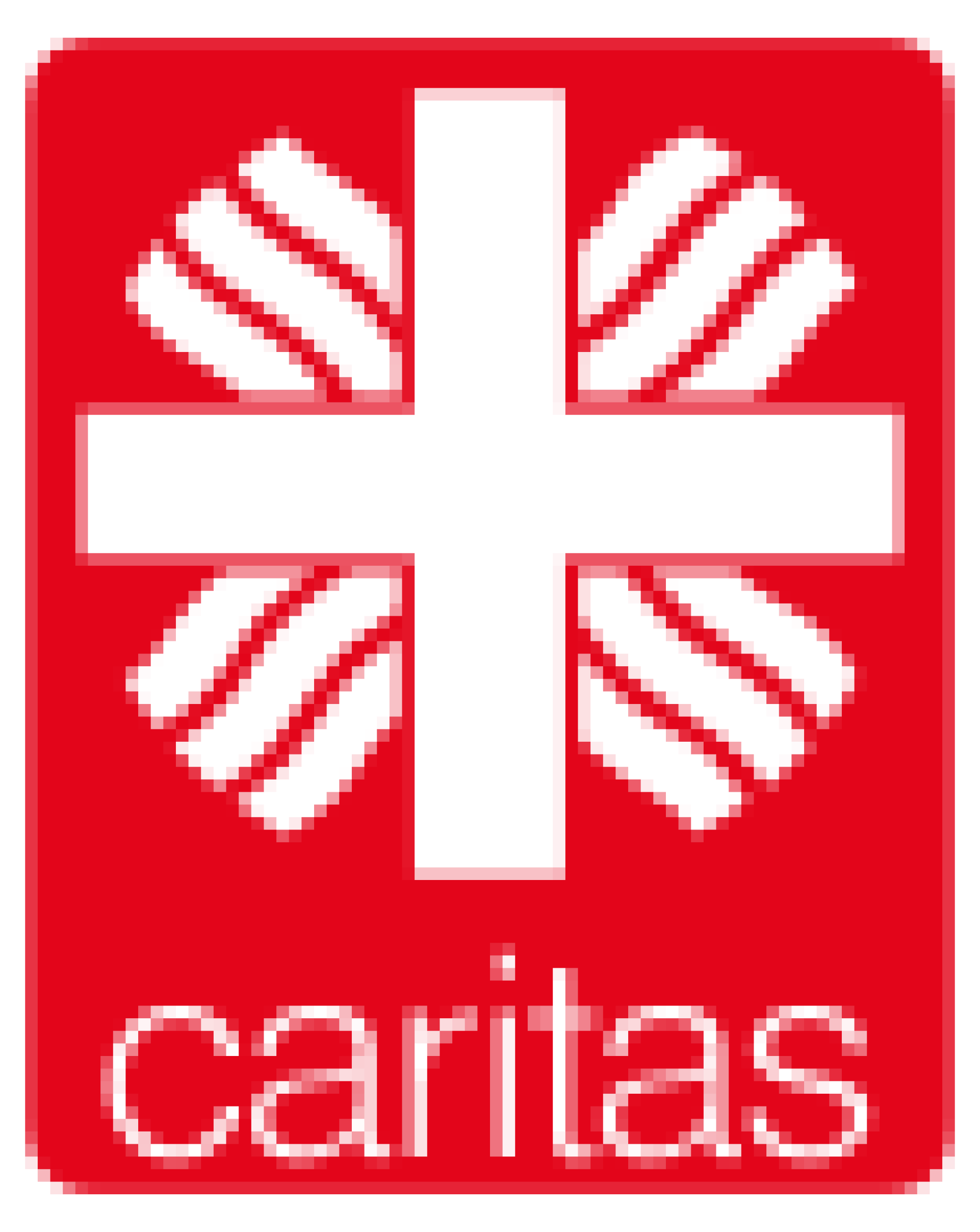 Logo Caritas Verband