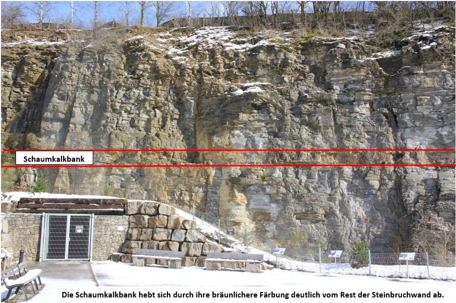 schaumkalkbank