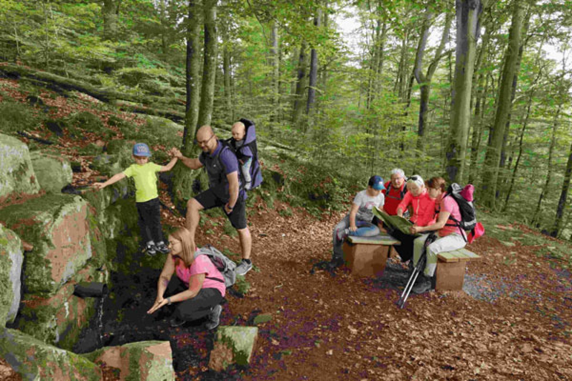 Waldwanderung mit der ganzen Familie