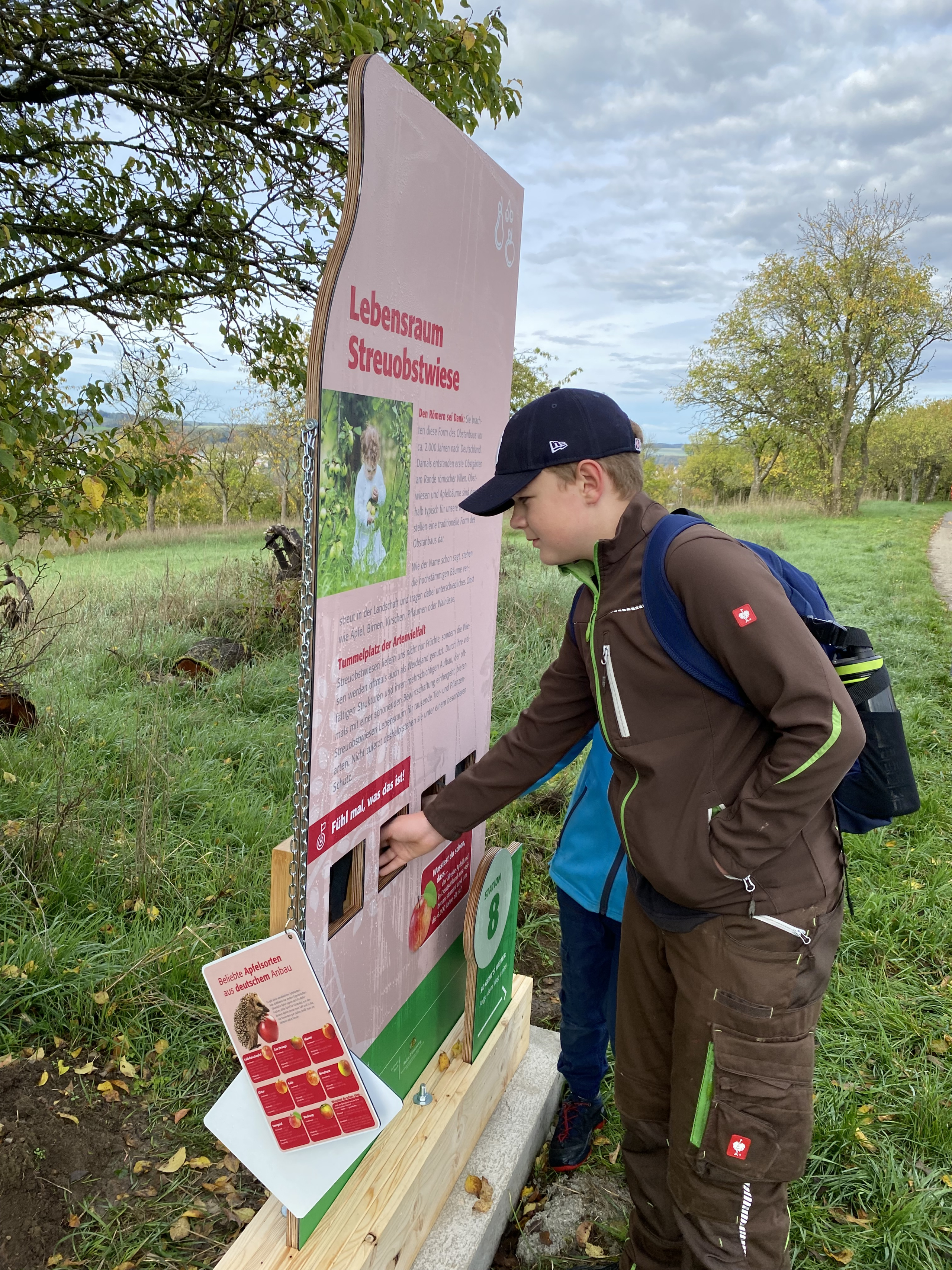 Foto der Fühlstation Lebensraum Streuobswiesen auf dem Buchener Biodiversitätspfad