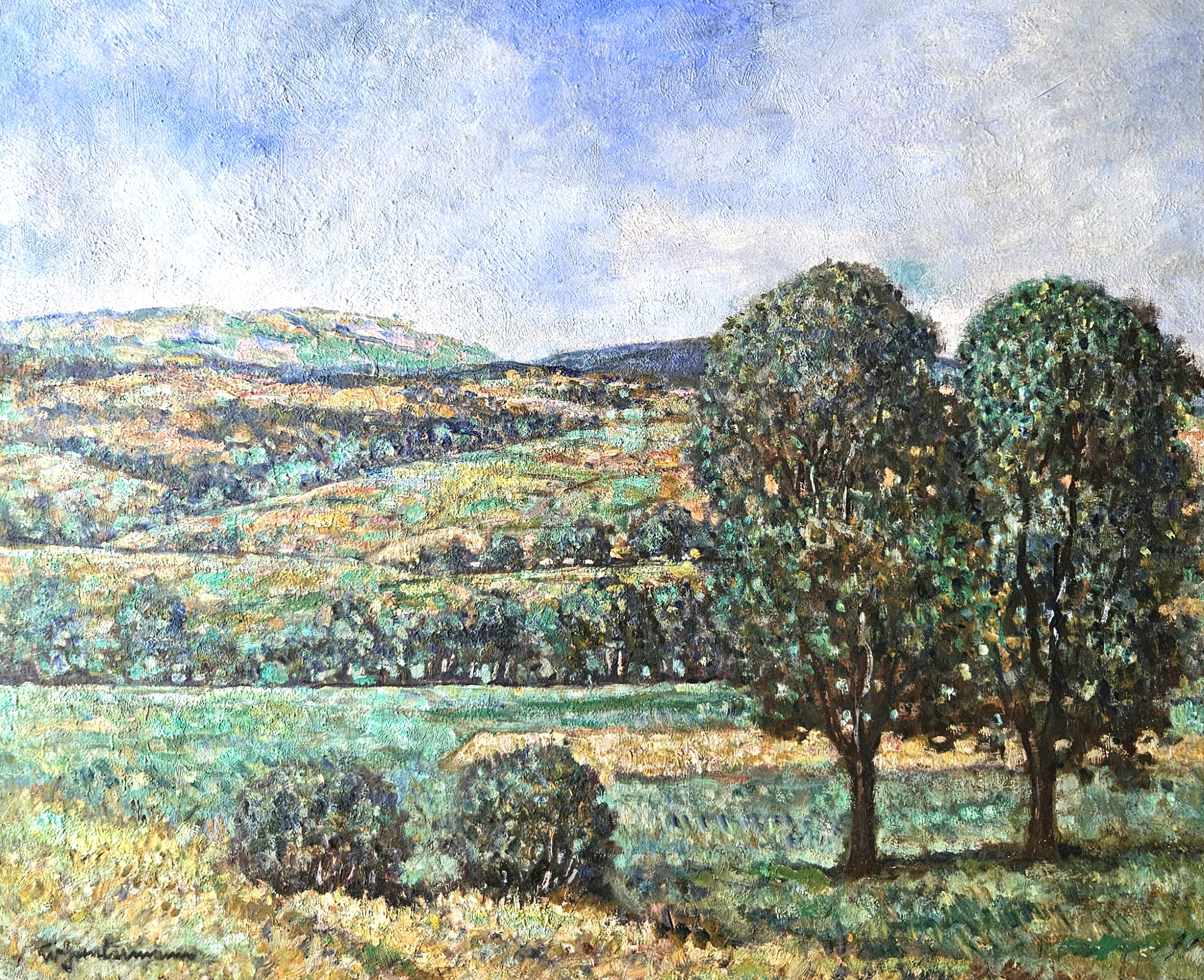 Guntermann - H&uuml;gellandschaft (Foto: Stadtarchiv Buchen)