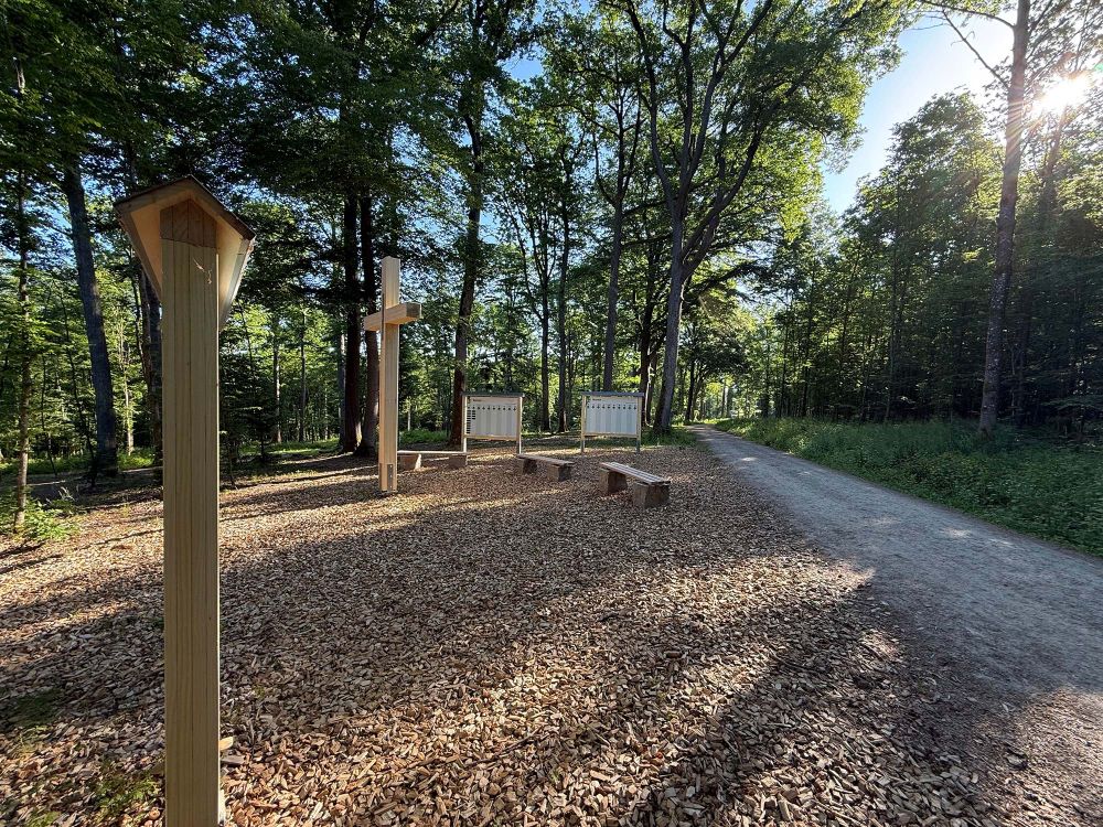 Impressionen vom Waldfriedhof Buchen